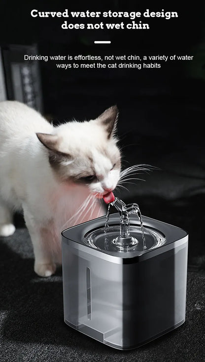 Fuente de Agua Filtrada para Perros y Gatos