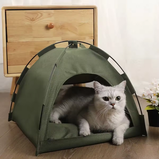 Casa Carpa para Perros y Gatos